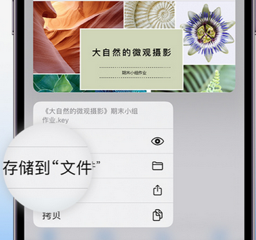 吐鲁番apple维修中心分享iPhone文件应用中存储和找到下载文件