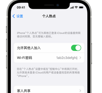 吐鲁番apple服务站点分享iPhone上个人热点丢失了怎么办 