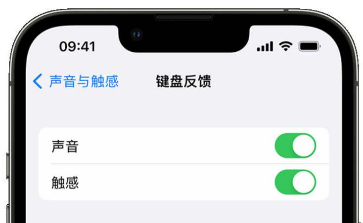 吐鲁番苹果手机维修分享iPhone 14触感键盘使用方法 