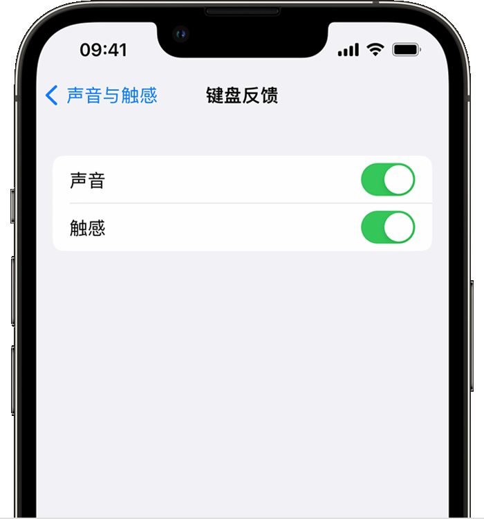 吐鲁番苹果14维修店分享如何在 iPhone 14 机型中使用触感键盘 