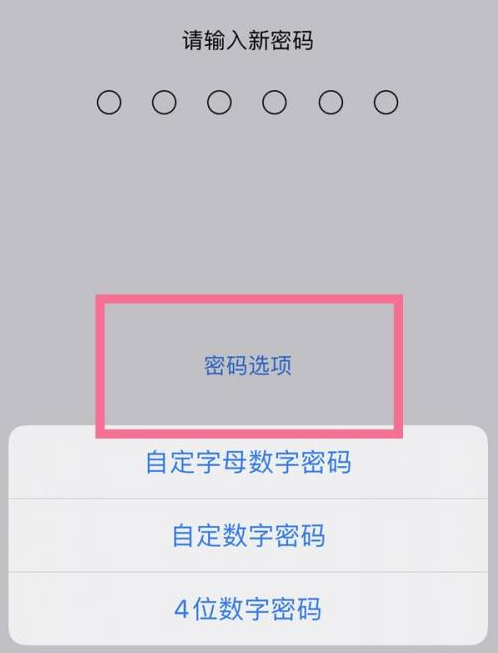 吐鲁番苹果14维修分享iPhone 14plus设置密码的方法 