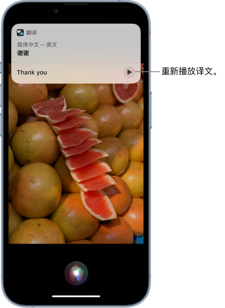 吐鲁番苹果14维修分享 iPhone 14 机型中使用 Siri：了解 Siri 能帮你做什么 