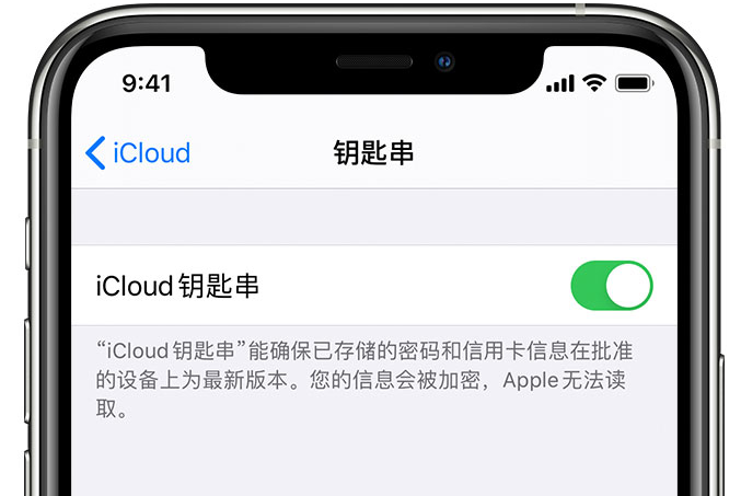 吐鲁番苹果手机维修分享在 iPhone 上开启 iCloud 钥匙串之后会储存哪些信息 