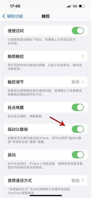 吐鲁番苹果手机维修分享iPhone手机如何设置摇一摇删除文字 