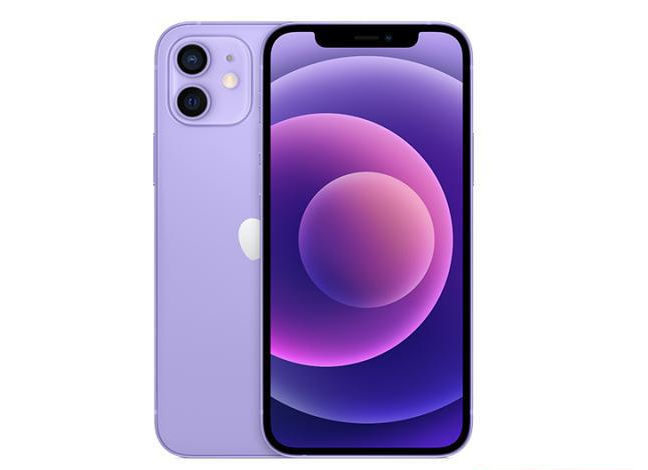 吐鲁番苹果手机维修分享现阶段要不要入手紫色版iPhone12 