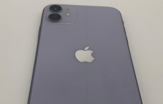 吐鲁番苹果11系统维修分享iPhone11手机系统崩溃无法开机如何解决 