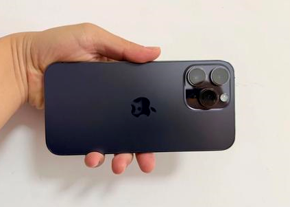 吐鲁番苹果维修点分享iPhone 14 Pro Max黑屏少见故障盘点 